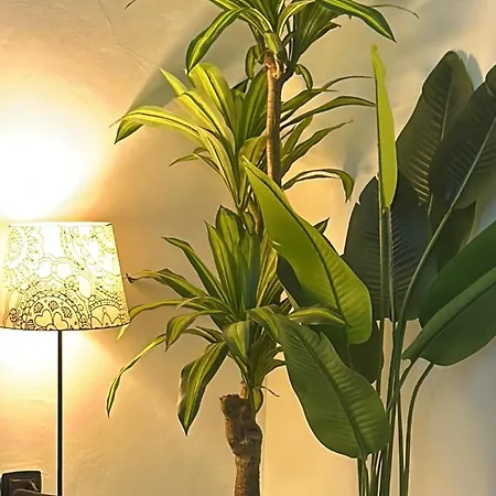 Teresa Il Tuo In Centro Apartment