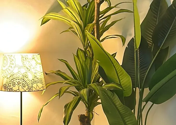 Teresa Il Tuo In Centro Apartament