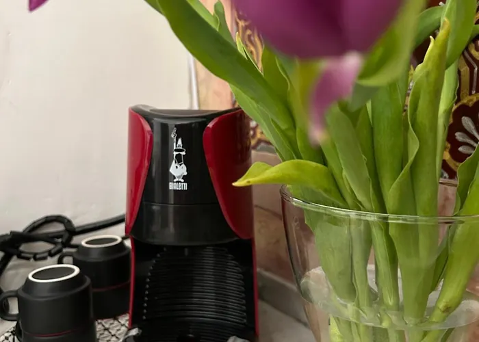 Apartament Teresa Il Tuo In Centro